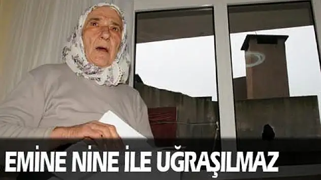 Emine Nine'nin fendi, GSM firmasını yendi