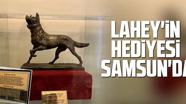 Lahey'in Hediyesi Samsun'da