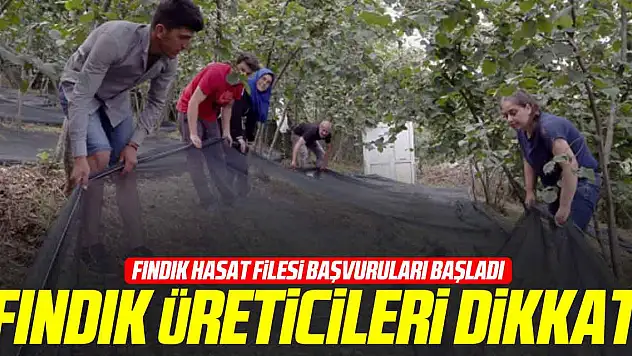 Fındık Üreticileri Dikkat!