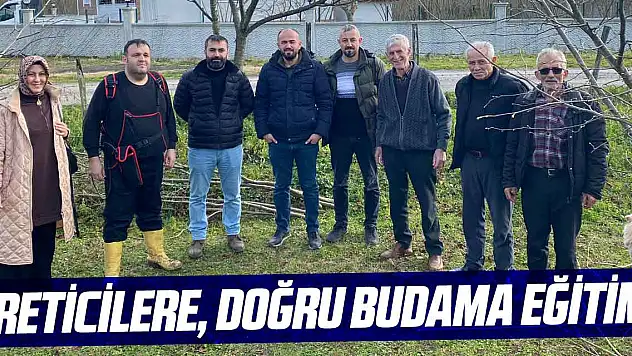 Üreticilere, Doğru Budama Eğitimi