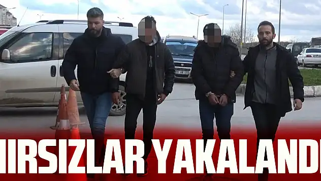 HIRSIZLAR YAKALANDI