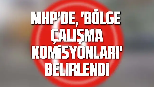 MHP'de, 'Bölge Çalışma Komisyonları' belirlendi