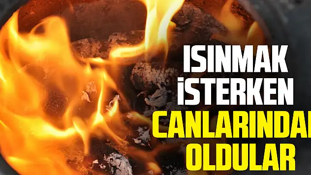 Isınmak İsterken Canlarından Oldular