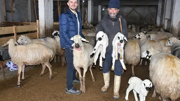 Üretime Devlet Desteği