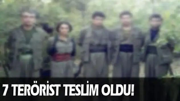 7  terörist teslim oldu