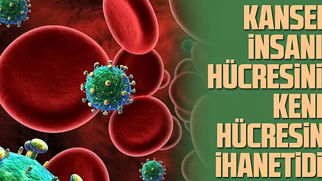 Kanser, İnsanın Hücresinin Kendi Hücresine İhanetidir