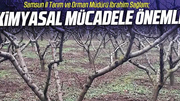 'Kimyasal mücadele önemli'