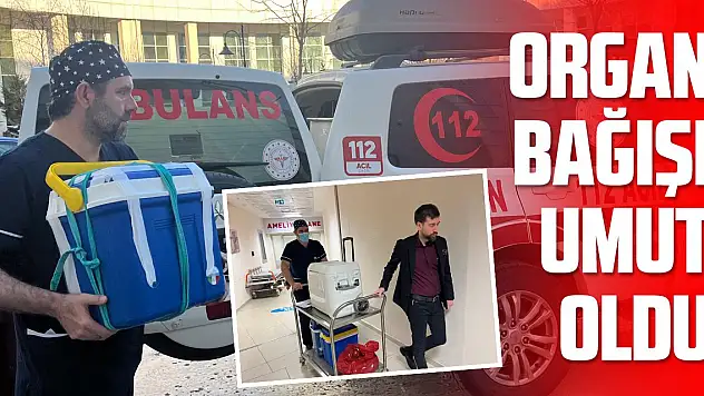 Organ bağışı umut oldu