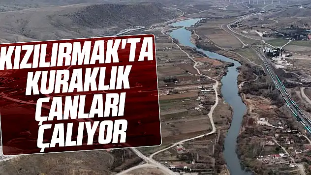 Kızılırmak'ta kuraklık çanları çalıyor
