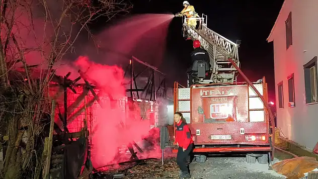 AHIR YAGININDA 4  HAYVAN TELEF OLDU