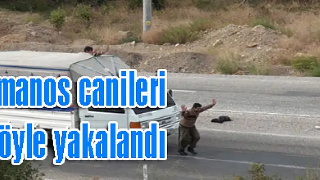 Amanos canileri böyle yakalandı