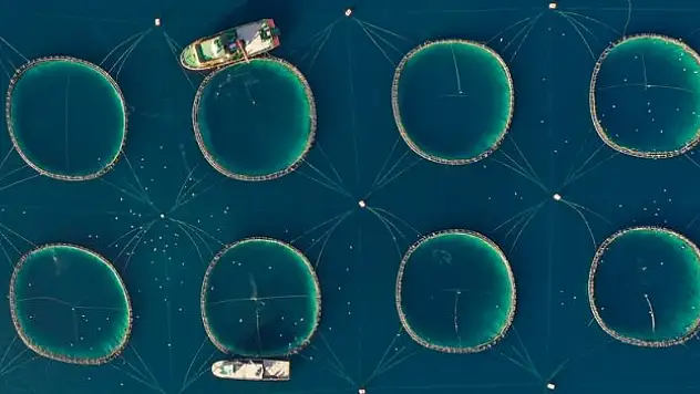 Tarım ve Orman Bakanlığı ev sahipliğinde yarın Antalya'da başlayacak