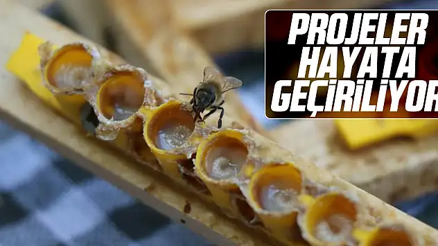 Projeler Hayata Geçiriliyor