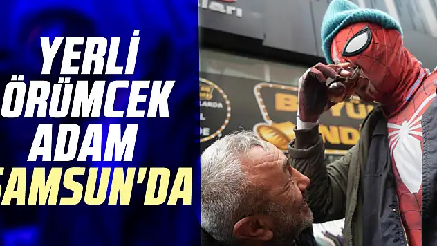 YERLİ ÖRÜMCEK ADAM SAMSUN'DA