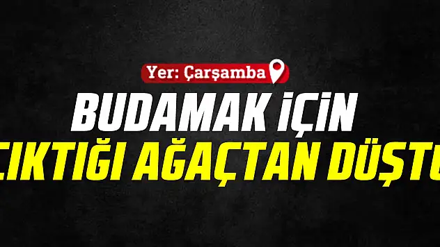 BUDAMAK İÇİN  ÇIKTIĞI AĞAÇTAN DÜŞTÜ
