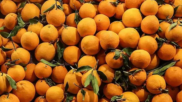 İhracat 1 milyar doları aştı