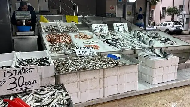 Prof. Dr. Samsun, av sezonunu değerlendirdi