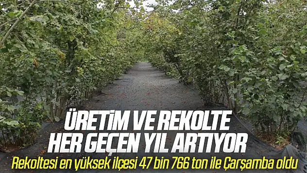 Üretim ve Rekolte Her Geçen Yıl Artıyor