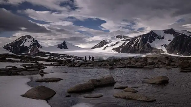 Bakteriler, ticarete dönüyor