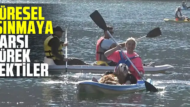 'Küresel Isınmaya Karşı Kürek Çek'