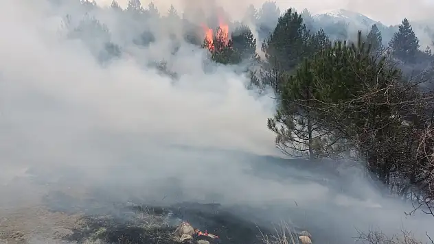Örtü yangını söndürüldü