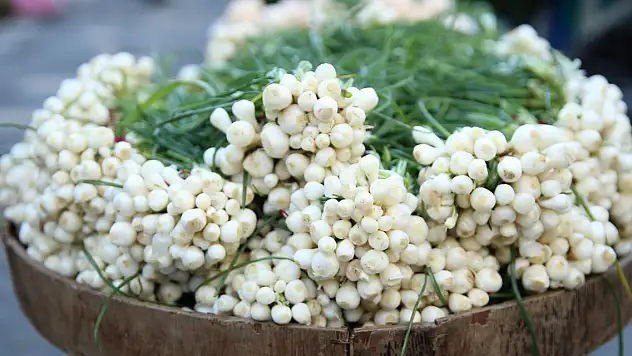 SOFRALARIN VAZGEÇİLMEZİ 'SAKARCA MIHLAMASI'