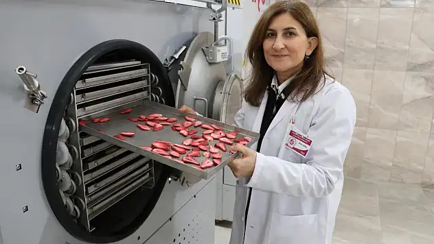 'ÇİÇEKBAMYASI'ERKEN KURUTULACAK