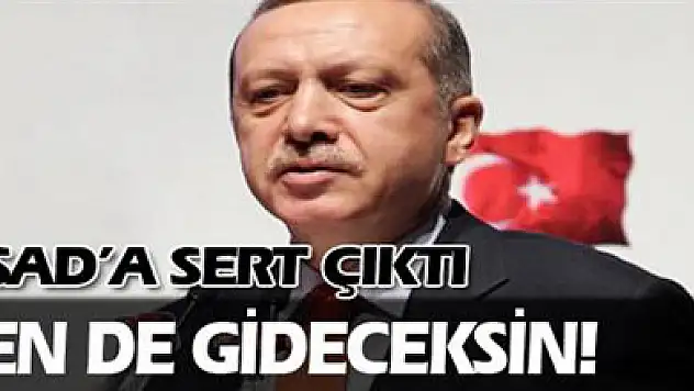 Erdoğan: Sen de gideceksin