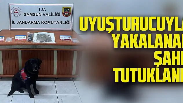 Uyuşturucuyla yakalanan şahıs tutuklandı
