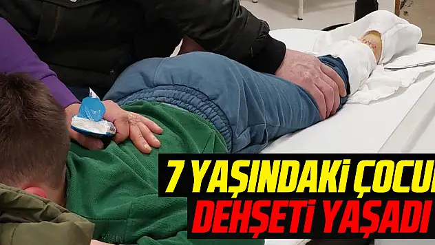 7 Yaşındaki Çocuk Dehşeti Yaşadı