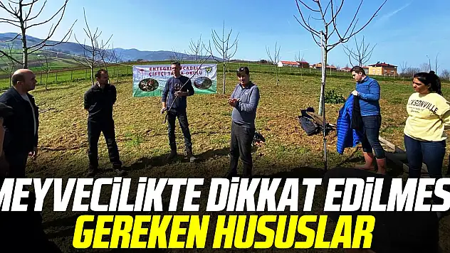 Meyvecilikte dikkat edilmesi gereken hususlar