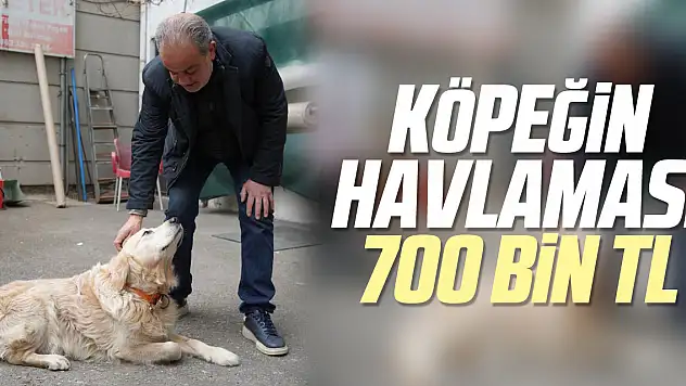 Köpeğin havlaması 700 bin TL
