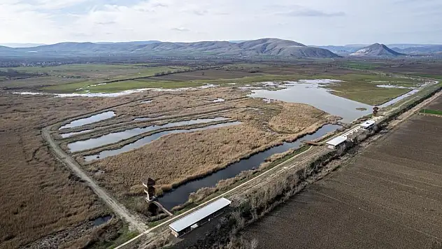 Göç durağı yeniden canlanacak