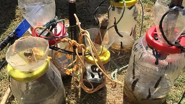 Av ve toplayıcılık yasaklandı