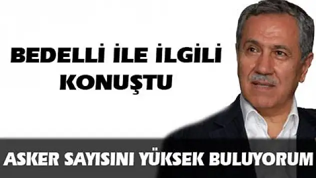 Arınç: Asker sayısını yüksek buluyorum