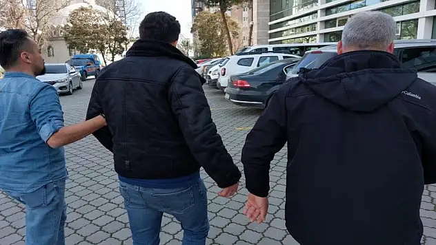 Ağaç kestikleri iddia edilen 3 kişi gözaltında