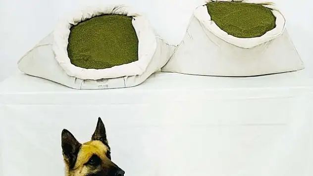 Jandarma Bingöl'de geçit vermiyor