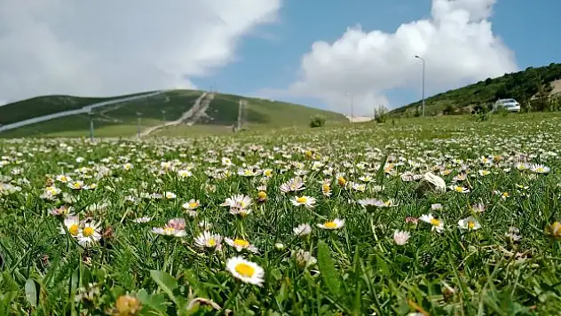 'Çamaşırları açık havada kurutmak polen alerjisini tetikliyor'