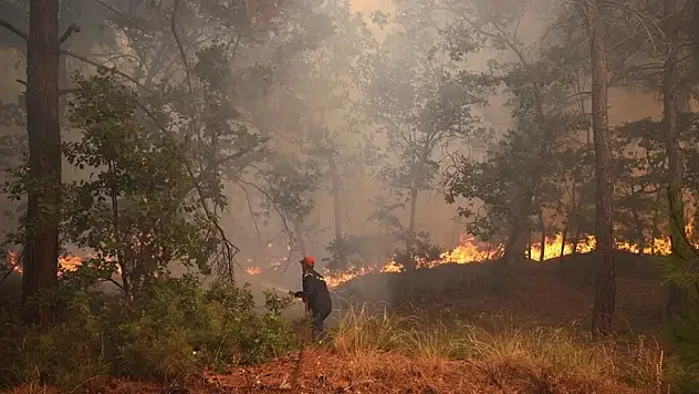 Yangınlar devam ediyor