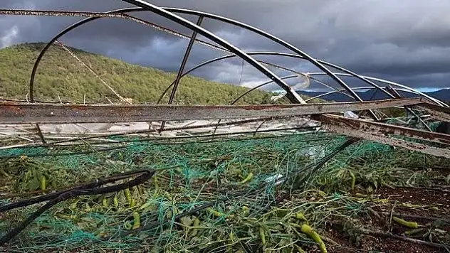 Antalyalı çiftçilere son 18 yılda 914,7 milyon TL hasar tazminatı ödendi