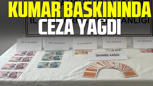 Kumar baskınında ceza yağdı