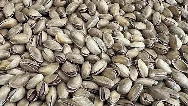 Türkiye'den yılın ilk 3 ayında 73,8 milyon dolarlık fıstık ihraç edildi