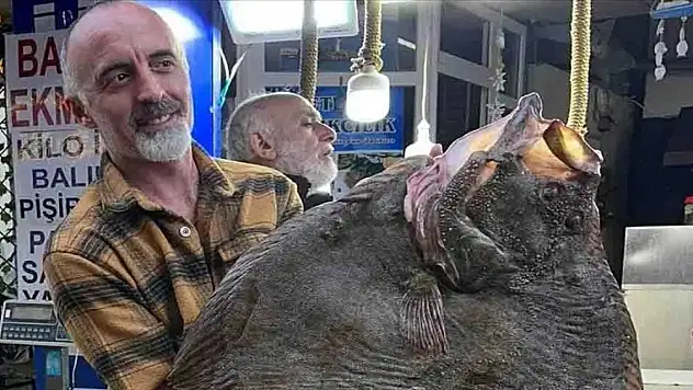 12 kilogramlık balık, 14 bin 500 liraya satıldı
