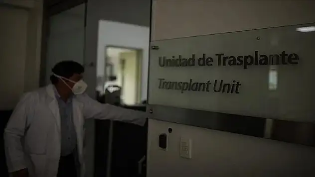 DSÖ: 'Hepatit B ve C her gün 3 bin 500 kişi öldürüyor'