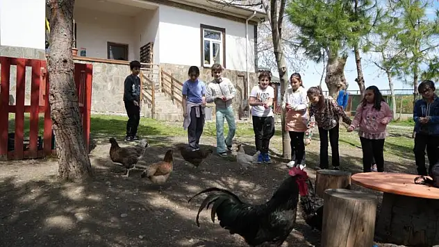 Doğa ve hayvanlarla iç içe eğlenceli ders