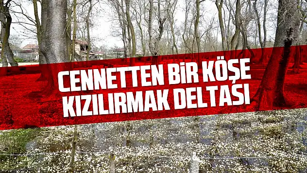 Cennetten bir köşe: Kızılırmak Deltası