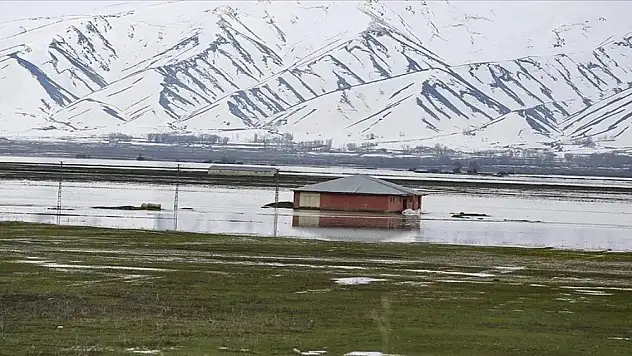 Hakkari'de yağışlar nedeniyle tarım arazileri ve bazı evler su altında kaldı