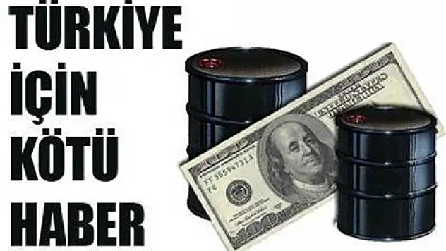'Petroldeki artış Türkiye için kötü haber'