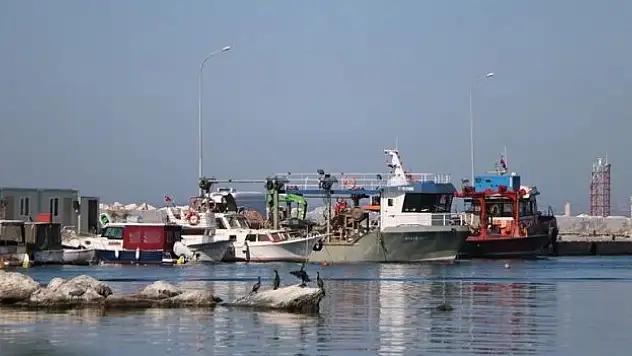 Yalovalı balıkçılar bu yıl da hamsi ile kazanç sağladı
