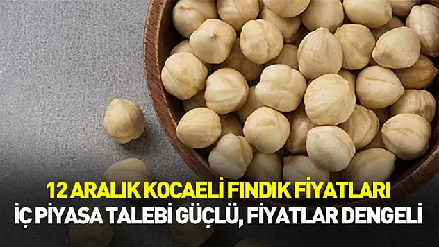 12 Aralık Kocaeli Fındık Fiyatları | İç Piyasa Talebi Güçlü, Fiyatlar Dengeli